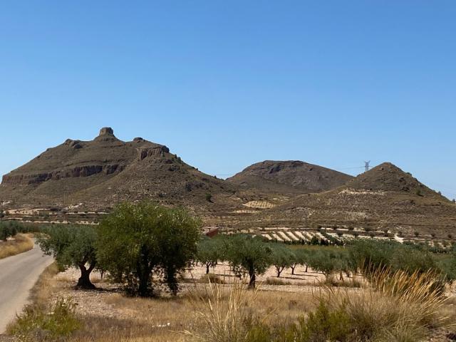 Finca rústica en Jumilla