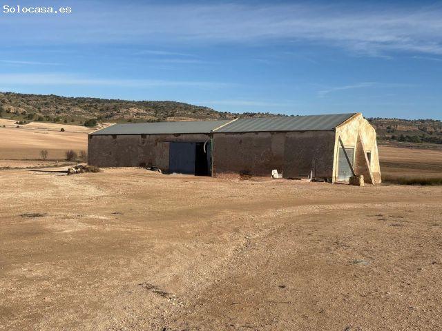 Finca Rústica en Jumilla en plena producción