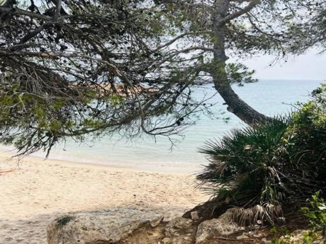 Finca rústica en L`Ametlla de Mar en venta