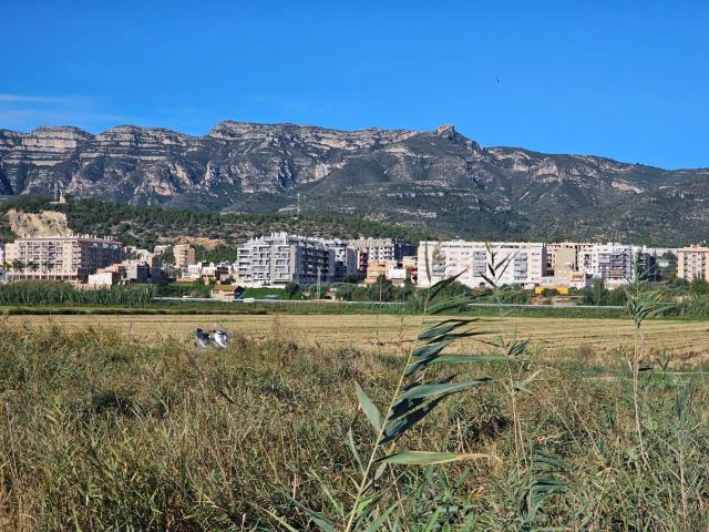 FINCA RÚSTICA EN LA RÀPITA