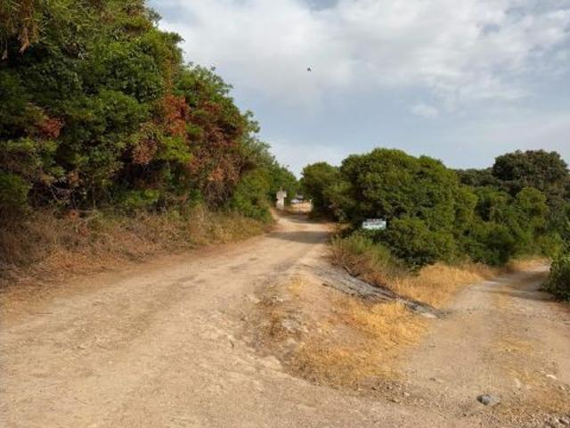 Finca Rústica en La Serena Oportunidad Única
