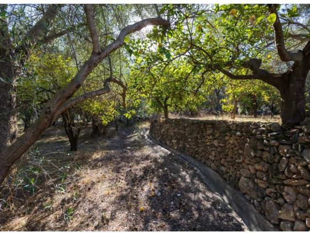 FINCA RUSTICA EN LA VEGUETA, PINOS DEL VALLE!