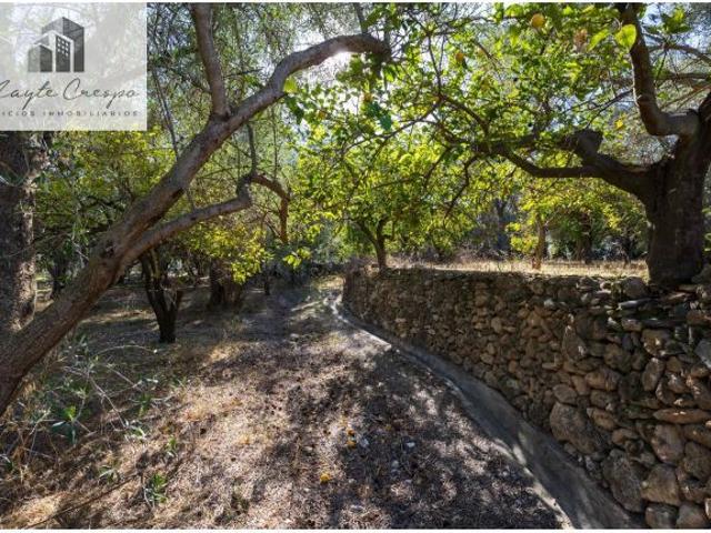 FINCA RUSTICA EN LA VEGUETA, PINOS DEL VALLE!