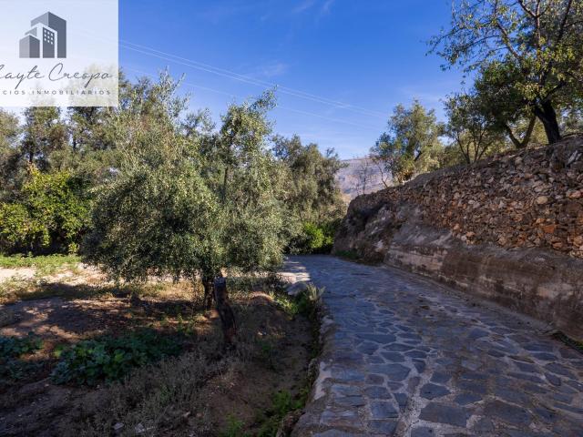 FINCA RUSTICA EN LA VEGUETA, PINOS DEL VALLE!