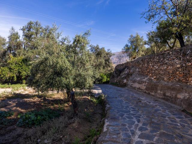 FINCA RUSTICA EN LA VEGUETA, PINOS DEL VALLE!