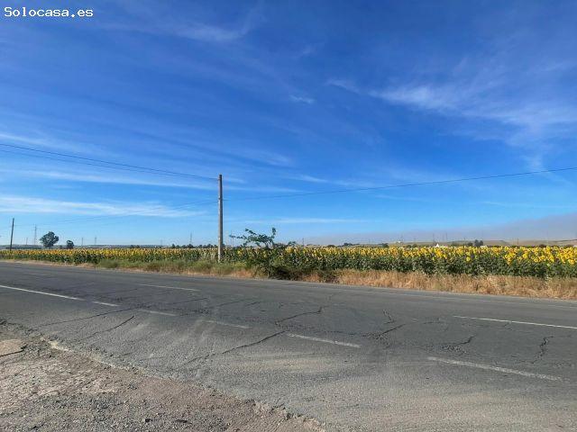 Finca rústica en la zona de La Alquería