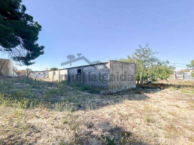 FINCA RÚSTICA EN LA ZONA DE MARTÍN MIGUEL