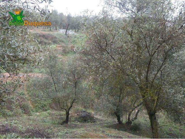 Finca rústica en Peligros con muy buen acceso