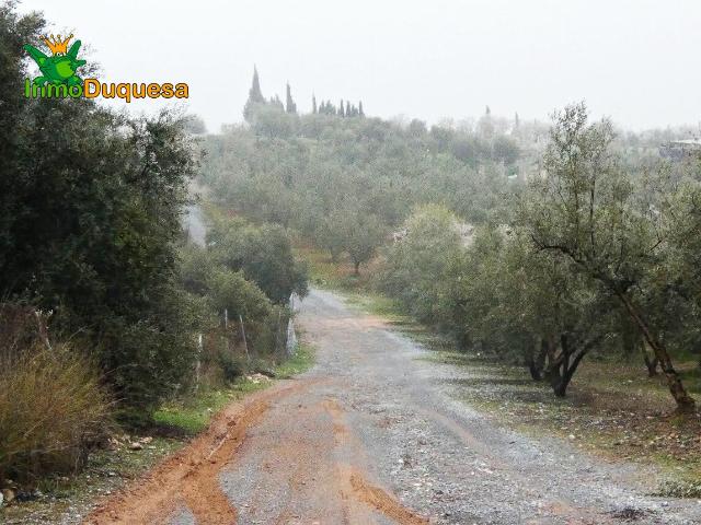 Finca rústica en Peligros Próximo a la autovía