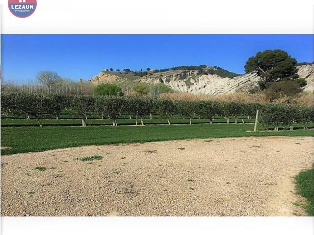 Finca Rústica en Peralta