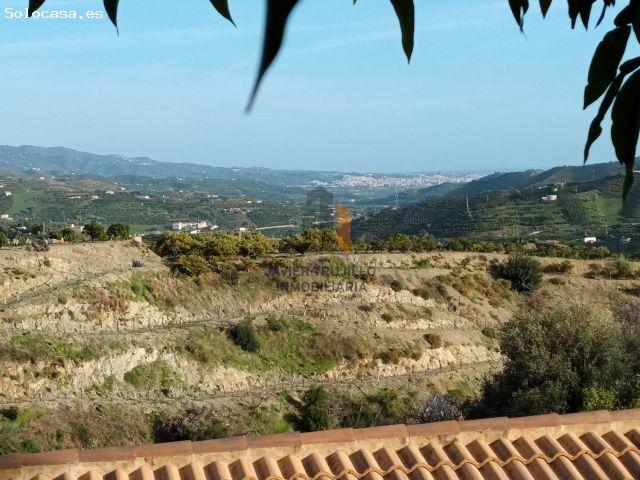 FINCA RÚSTICA EN PRODUCCIÓN CON CASA – OPORTUNIDAD ÚNICA EN CÚTAR MÁLAGA