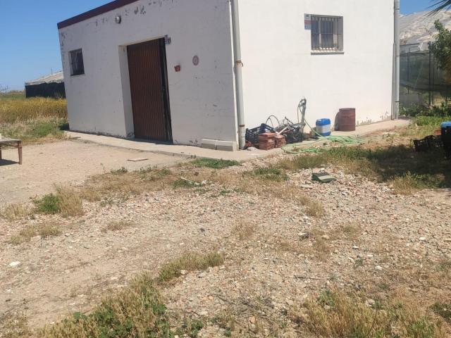 FINCA RÚSTICA EN ROTA ZONA EL BERCIAL