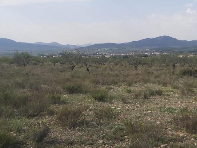 Finca rústica en Salinas
