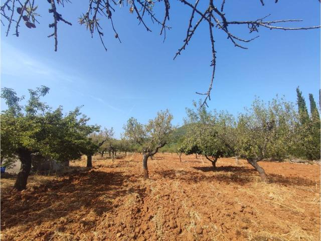 FINCA RUSTICA EN SANTA MAGDALENA DE PULPIS