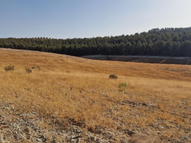 FINCA RUSTICA EN SANTA FE 21Ha
