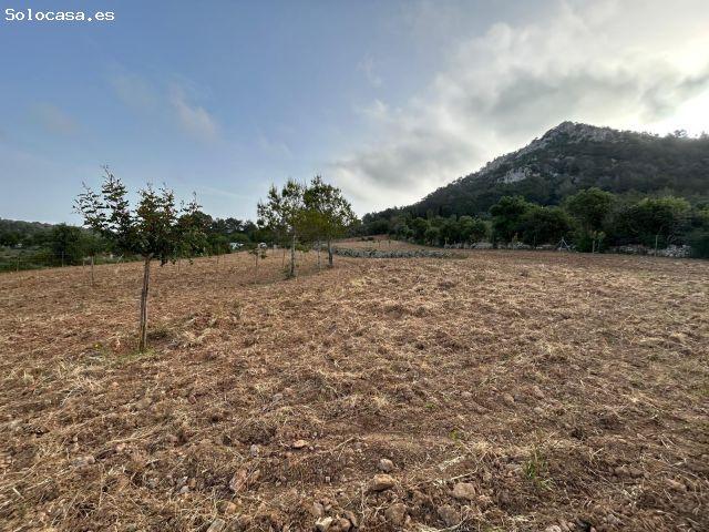 FINCA RÚSTICA EN SON MIQUEL JOAN