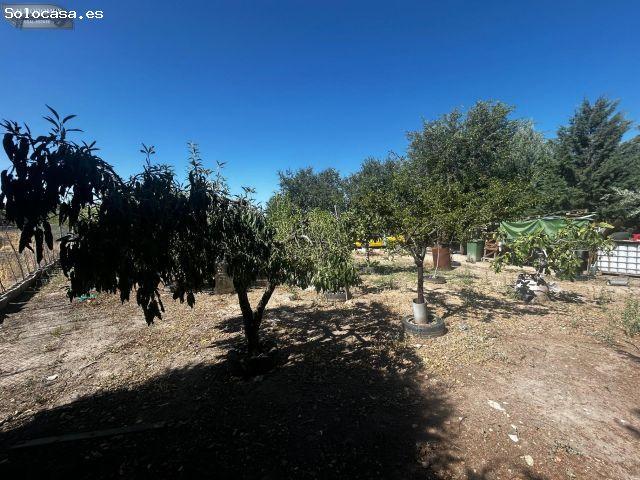 Finca rústica en venta a la entrada de Casarrubios del Monte