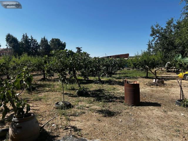 Finca rústica en venta a la entrada de Casarrubios del Monte