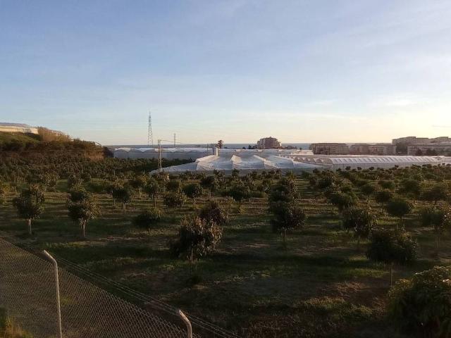 Finca rústica en venta. ALGARROBO
