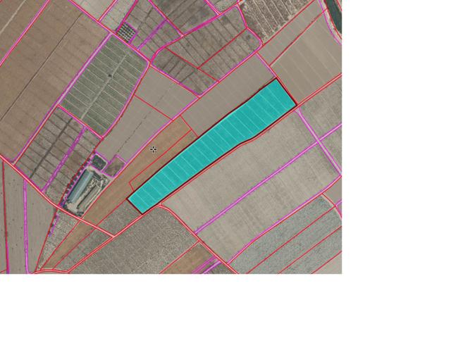 Finca rústica en venta. ALHAMA DE MURCIA