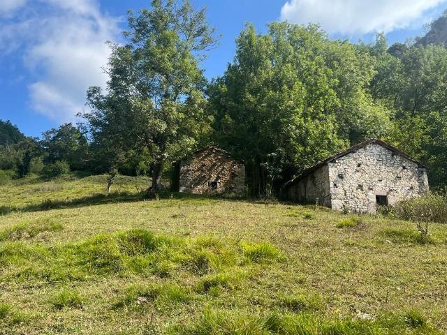 Finca rústica en venta. AMIEVA