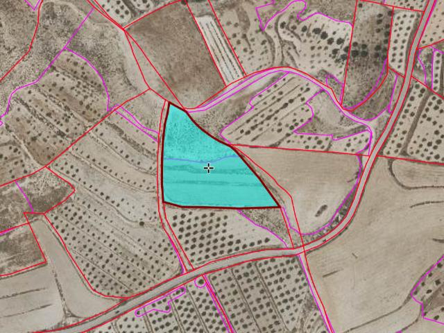 Finca rústica en venta. BARQUEROS