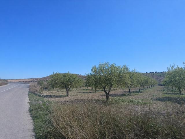 Finca rústica en venta. BARQUEROS