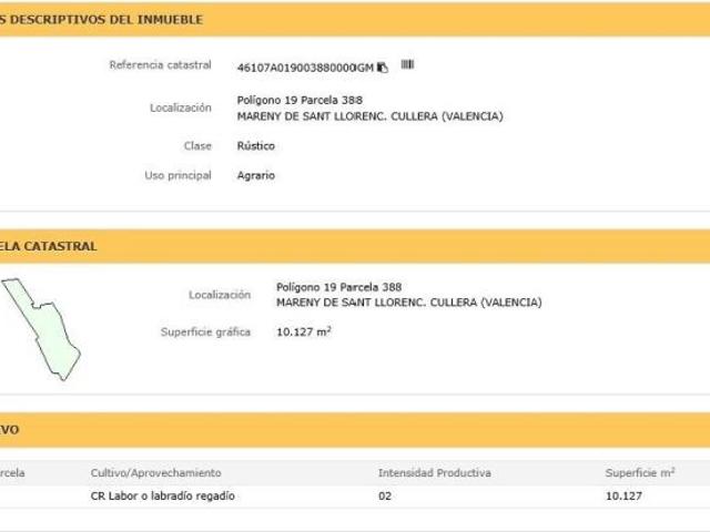 FINCA RUSTICA EN VENTA CON 6 ASSETS VALENCIA