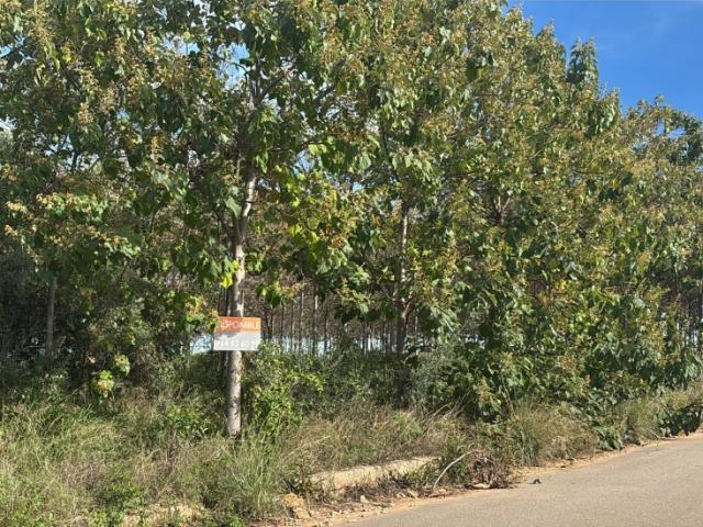 FINCA RÚSTICA EN VENTA CON CASETA