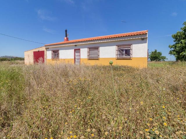 Finca rústica en Venta en Mula