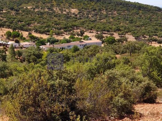 Finca rústica en Venta en Madroñera