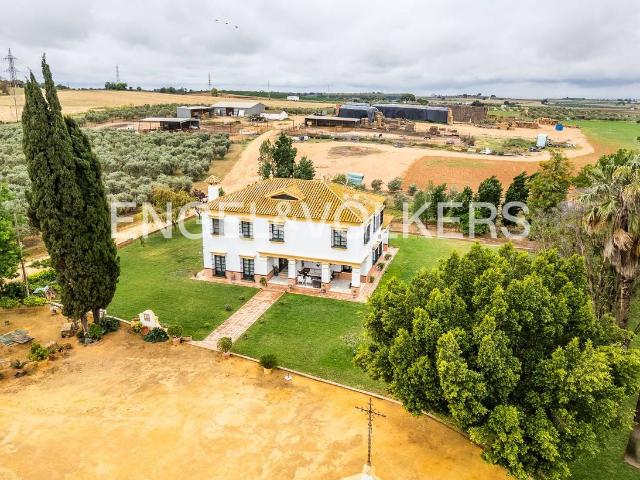 Finca rústica en Venta en Mairena del Alcor