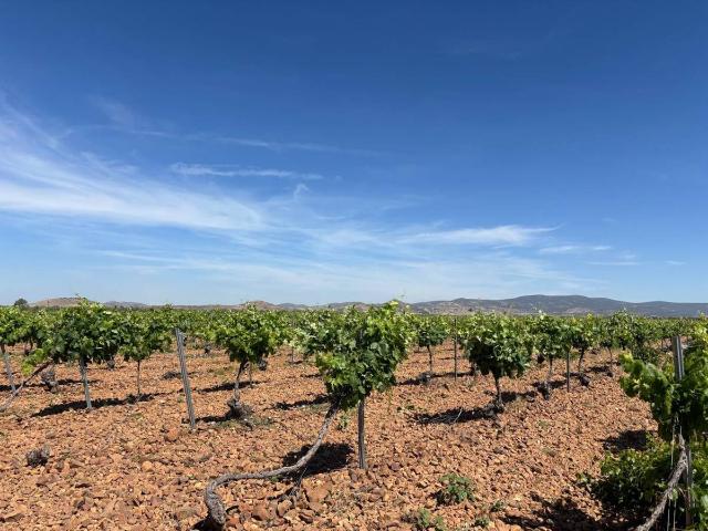 Finca rústica en Venta en Malagón