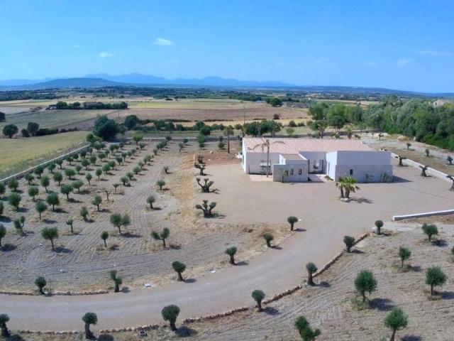 Finca rústica en Venta en Manacor Centre
