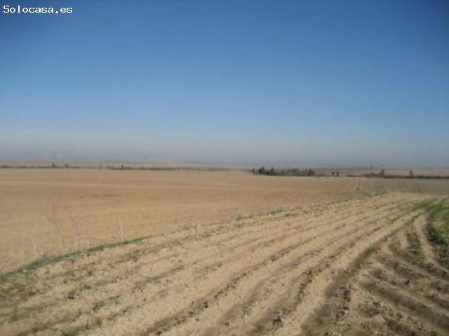 Finca rustica en Venta en Marchena, Sevilla