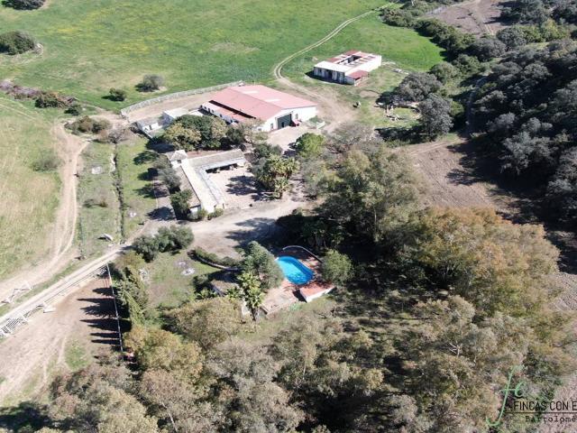 Finca rústica en Venta en Marchena