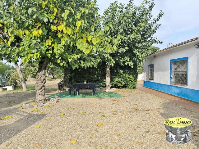 Finca rústica en Venta en Migjorn