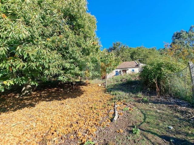 Finca rústica en Venta en Moaña