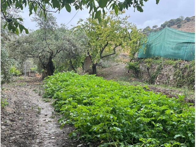 Finca rústica en Venta en Monachil pueblo