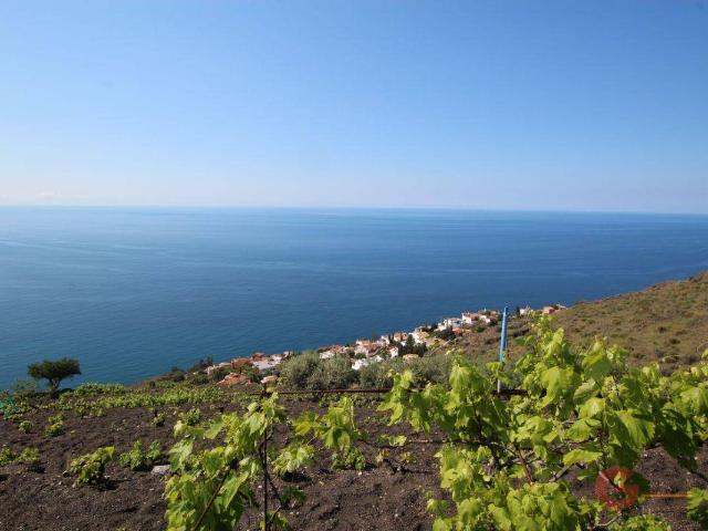 Finca rústica en Venta en Monte los Almendros El Pargo Costa Aguilera