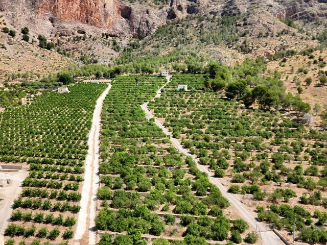 Finca rústica en Venta en Montepinar La Aparecida Raiguero