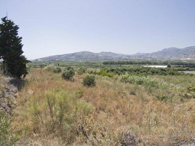 Finca rústica en Venta en Motril ciudad