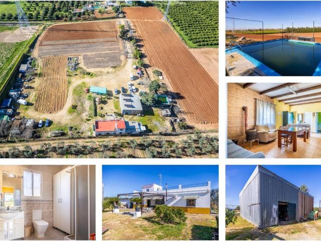 Finca rústica en Venta en Nueva Alcalá