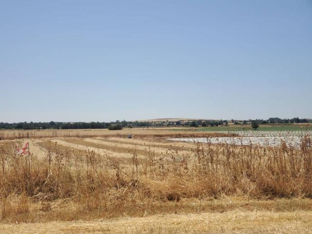 Finca rústica en Venta en Nuevo Hospital
