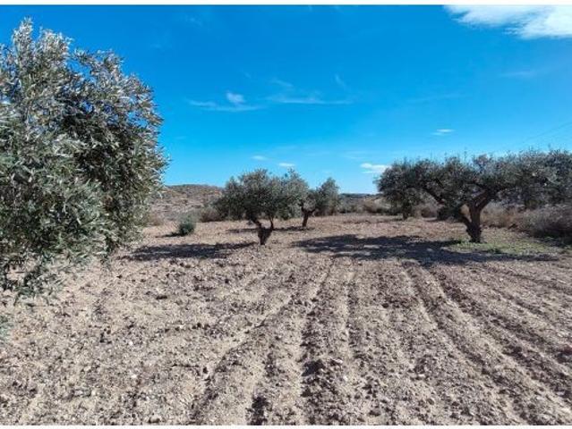 Finca rustica en Venta en Novelda, Alicante
