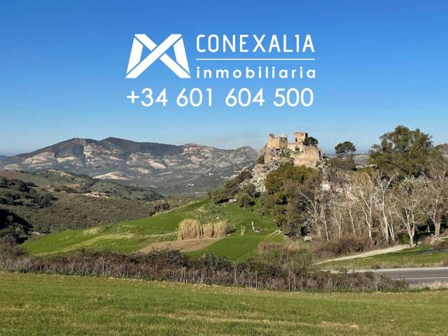 Finca rústica en Venta en Olvera