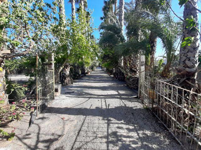 Finca rustica en Venta en Orihuela, Alicante