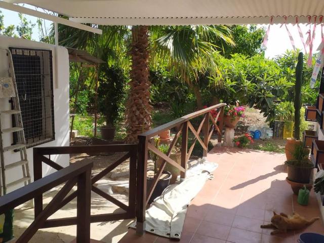 Finca rústica en Venta en Avda Pescia Ctra de Frigiliana