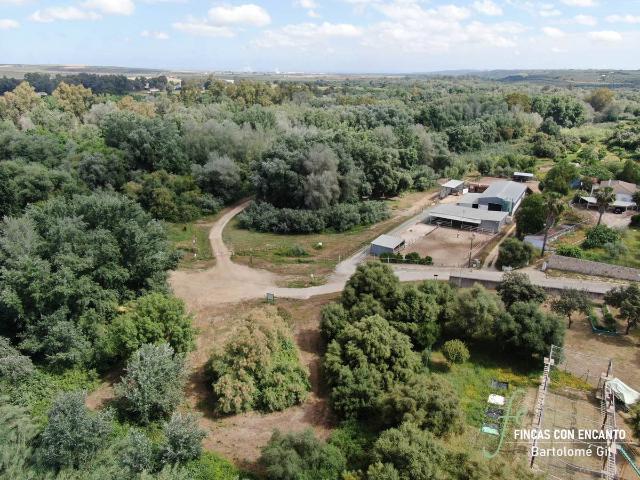 Finca rústica en Venta en Aznalcázar
