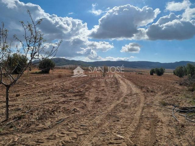 Finca rústica en Venta en Abanilla
